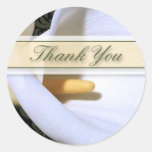 Elegant Calla Lily Thank You Sticker
