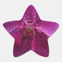 Elegant Floral Star Sticker