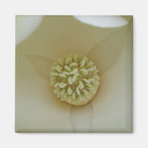 Elegant Magnolia Fridge Magnet