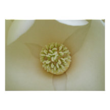 Elegant Magnolia Personalised Invite