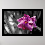 Elegant Purple Flower Print