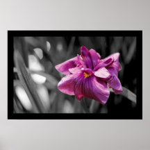 Elegant Purple Flower Print