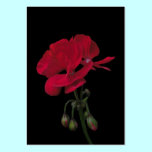 Elegant Red Floral Business Card business cards