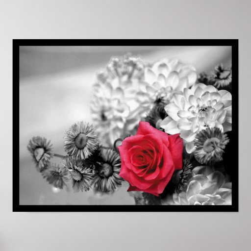 Elegant Red Rose Print