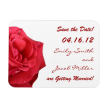 Elegant Red Rose Save the Date Magnets