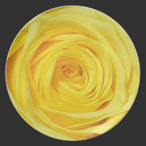 Elegant Yellow Rose Collection plates