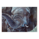 Elephant Big Boy ArtCard Business Card Templates