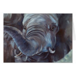 Elephant Big Boy Blank Card