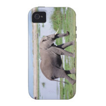 Elephant Case Mate Case-Mate iPhone 4 Cases