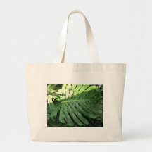 Elephant Ear Tropical Plant Bags