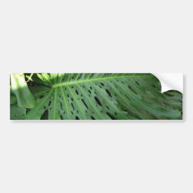 Elephant Ear Tropical Plant Bumper Sticker