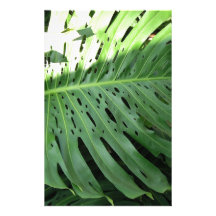 Elephant Ear Tropical Plant Stationery