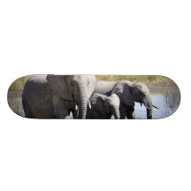 Elephant family custom skate board