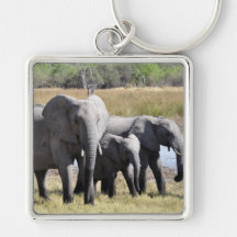 Elephant family key chain