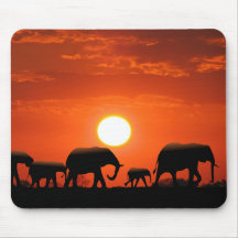 Elephant family mouse pads
