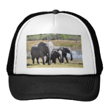 Elephant family trucker hat
