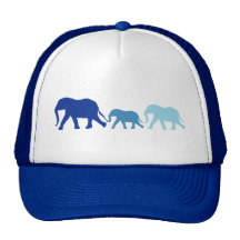 Elephant in Blue Hats
