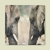 Elephant Lovers Art Gifts magnets