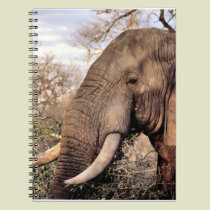 Elephant Lovers Wildlife notebooks