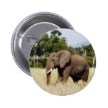 Elephant Masai Mara, Kenya badge button