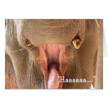 Elephant Mouth Happy Birthday Card
