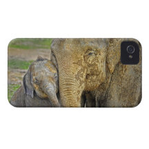 Elephant Newborn Mum Baby Hug iPhone 4 Cases