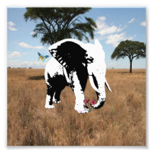 elephant on the safari photographic print