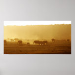 Elephant Park Galerie Poster