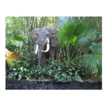 Elephant postcard