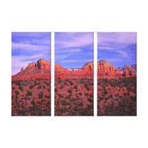 Elephant Rock Sedona Gallery Wrapped Canvas