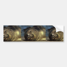 Elephant Seal Bumper Sticker