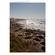 Elephant Seal Cards