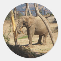 Elephant stickers