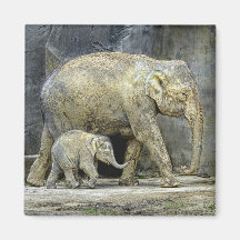 Elephant with Newborn Magnet