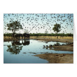 Elephants and Birds Cards