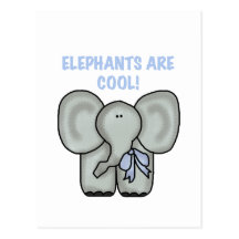 Elephants Are Cool Tshirts and Gifts Postcards
