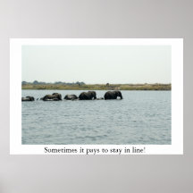 Elephants Crossing Chobe River Print