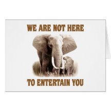 Elephants Deserve Respect Greeting Cards