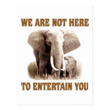 Elephants Deserve Respect Postcard
