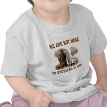 Elephants Deserve Respect Tshirts