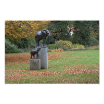Elephants Photo