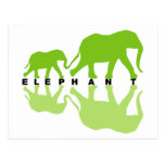 Elephants with Reflection Post Cards