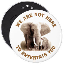 Elephats Deserve Respect Pins