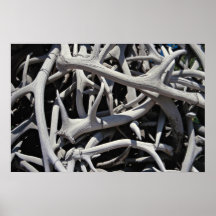 Elk antlers, Central Square, Jackson, Wyoming, U.S Poster