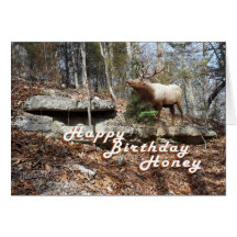 Elk Birthday card