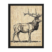 Elk Gallery Wrap Canvas