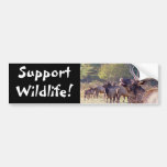 Elk Herd Bumper Sticker