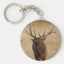 elk key chain