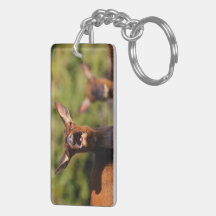 elk keychain
