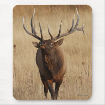 elk mousemat